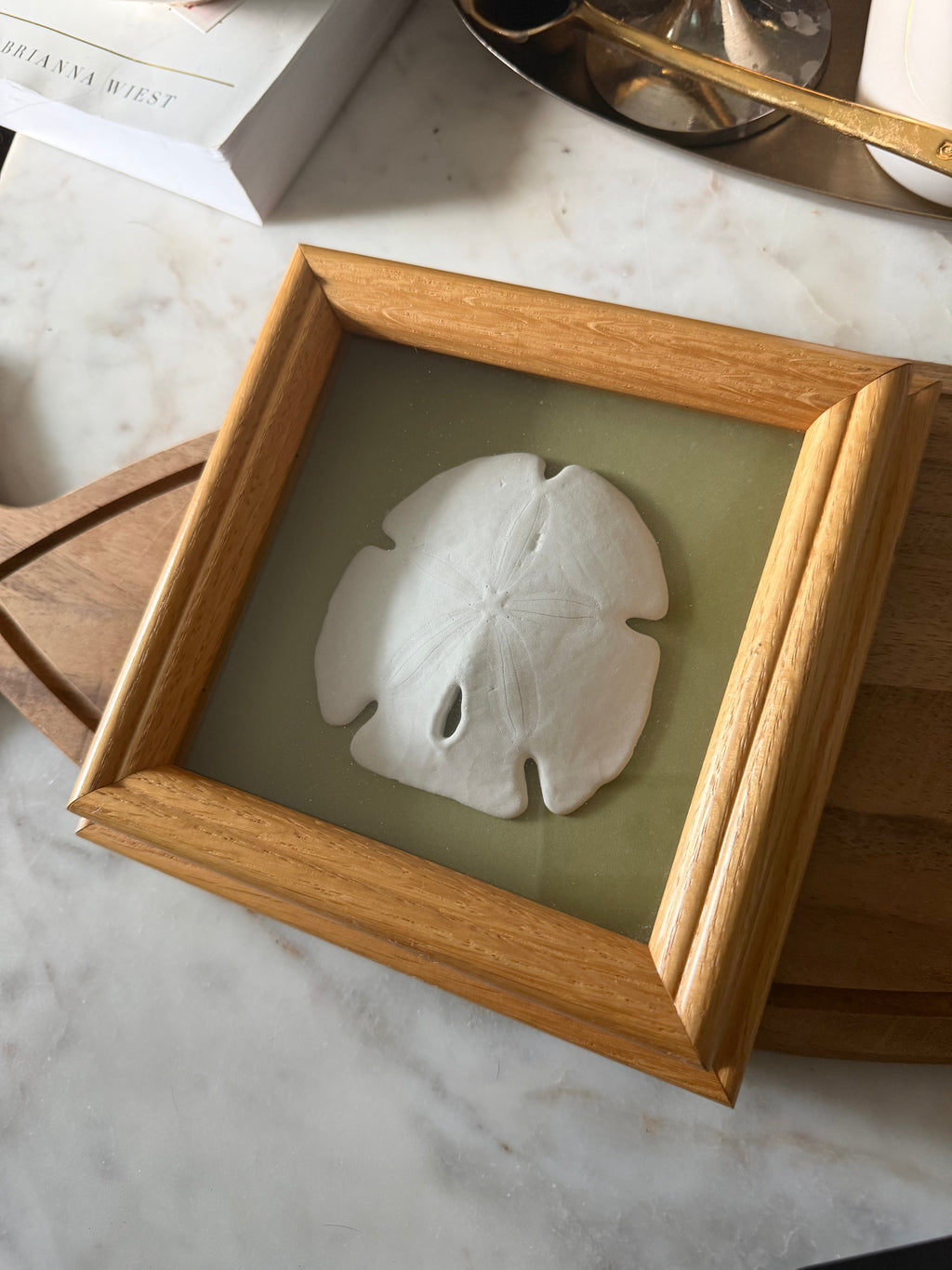 Vintage Sand Dollar Shadow Box – Coastal Cottagecore Wall Decor